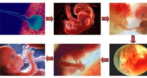 查看詳請(qǐng)信息