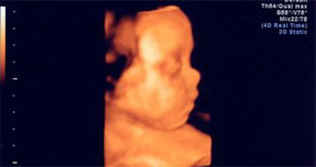 查看詳請(qǐng)信息