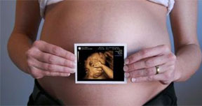 查看詳請(qǐng)信息