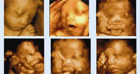 查看詳請(qǐng)信息