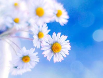 子宮內膜炎的治療方法有哪些