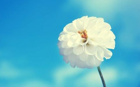 宮頸肥大疾病的癥狀有哪些