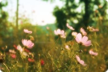 婦科疾病該如何有效的預防