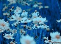 盆腔炎疾病的危害有哪些