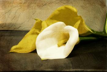 小陰唇縮小手術前需要注意什么