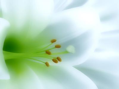 陰道炎疾病的癥狀有哪些