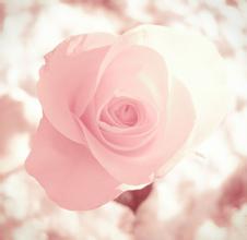 盆腔炎疾病在平時該如何預防