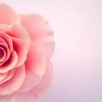 宮頸肥大疾病的危害有哪些