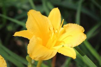 乳腺癌疾病該如何預防