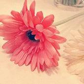 輸卵管性不孕的預防措施有哪些