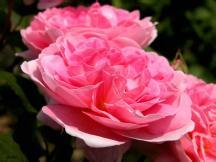 女性痛經該如何預防