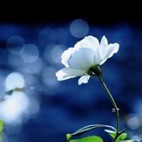 陰道炎疾病平時該如何預(yù)防