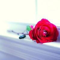 外陰炎疾病的危害有哪些