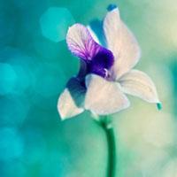 引起子宮內膜炎疾病的原因有哪些