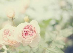 女性做無痛人流后需要注意些什么