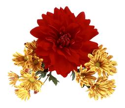 女性日常生活中該怎樣護理盆腔炎