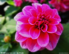 子宮肌瘤疾病的治療方法有哪些