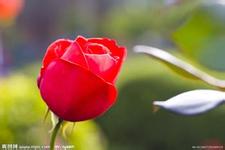 輸卵管不孕疾病的危害有哪些