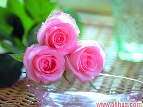 宮頸性不孕疾病該如何預防