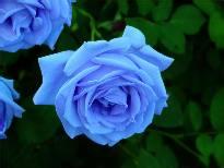 女性宮頸肥大該如何預防