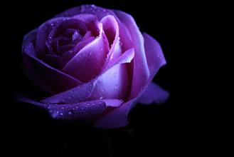 輸卵管性不孕需要做哪些檢查