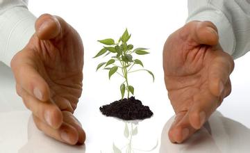 導致宮頸性不孕的疾病有哪些